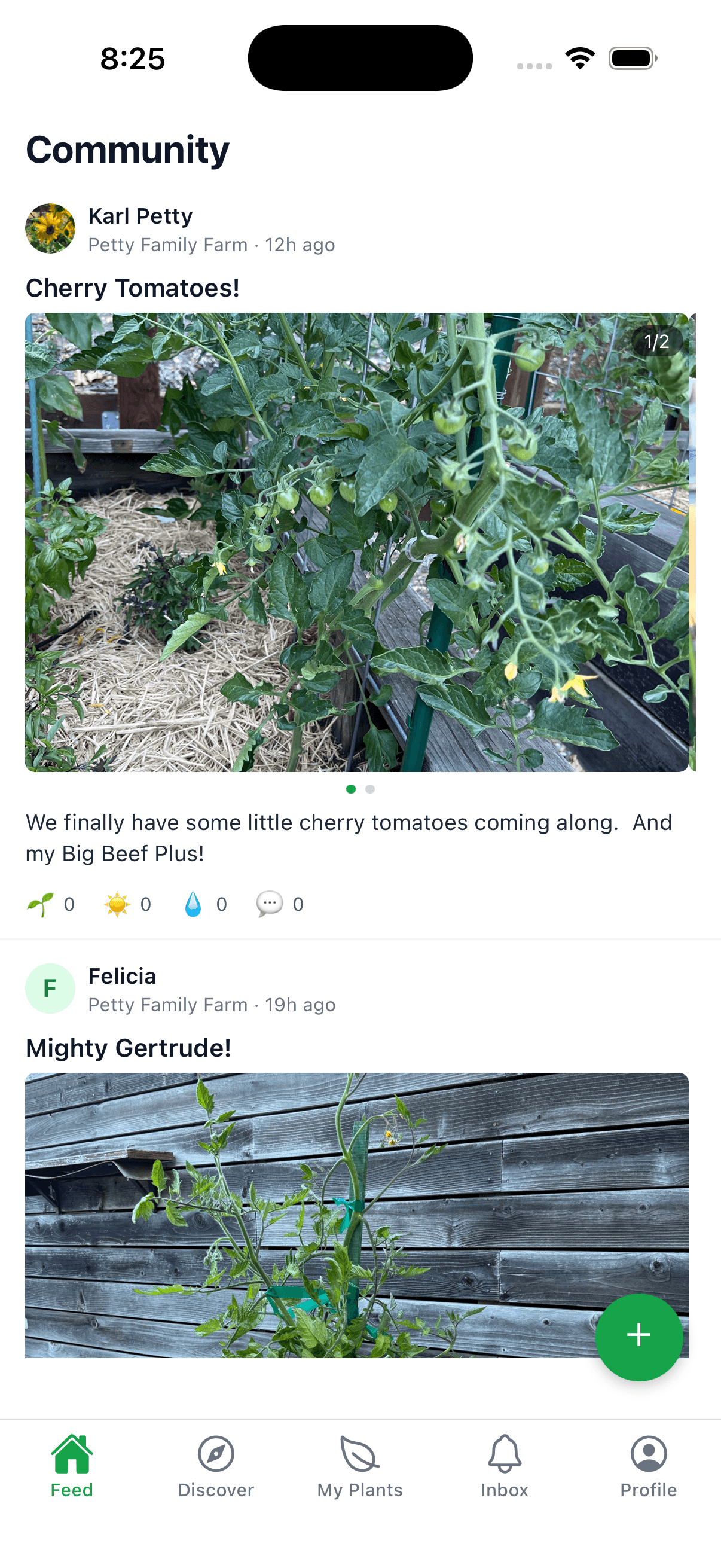 Community feed on the iOS app — photos and posts from the gardeners you follow